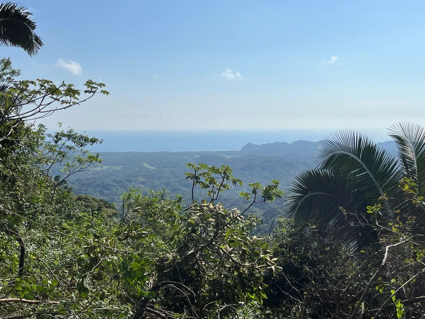 Vacant Land in Samara - land for sale