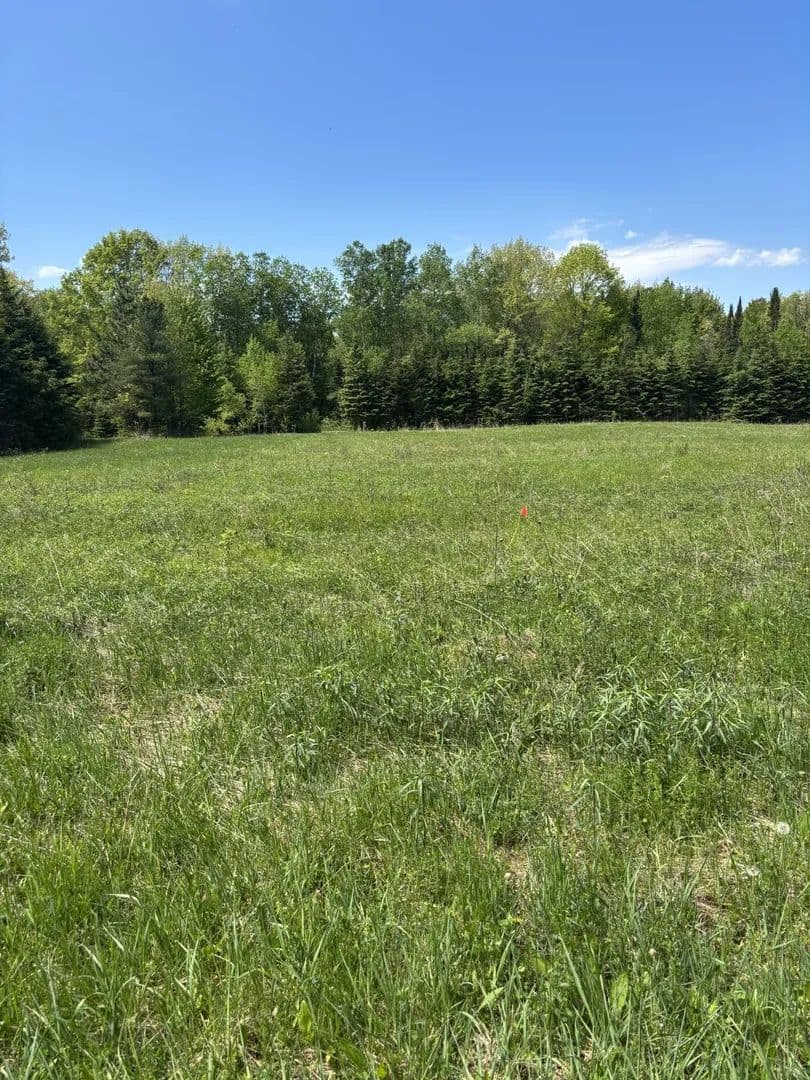 1.6 Acres of Land for Sale in Ladysmith, Wisconsin - Ladysmith, Wisconsin, 54848