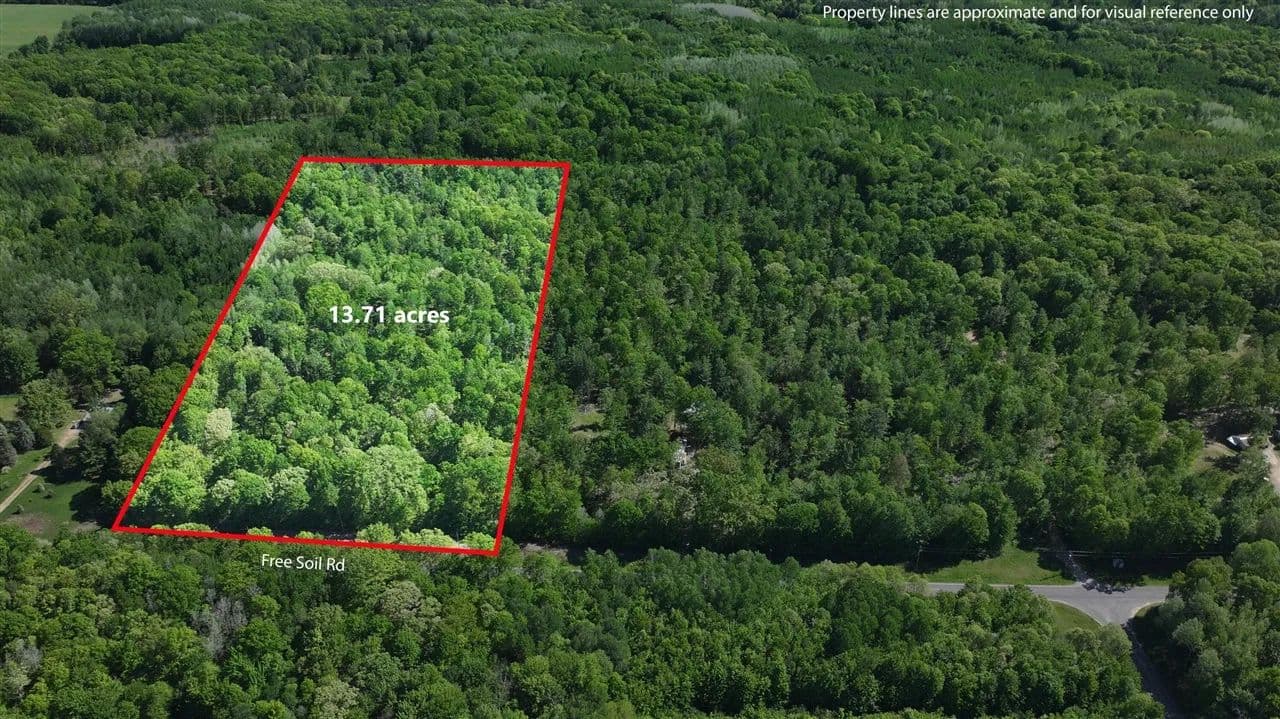 Property from Parcel 'C' E Free Soil - KW - Free Soil, Michigan, 49411