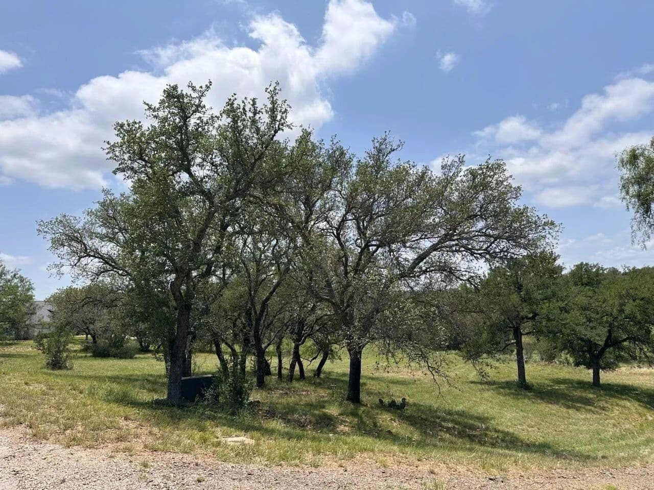 Lots & Land-Other in Horseshoe Bay - Horseshoe Bay, Texas, 78657