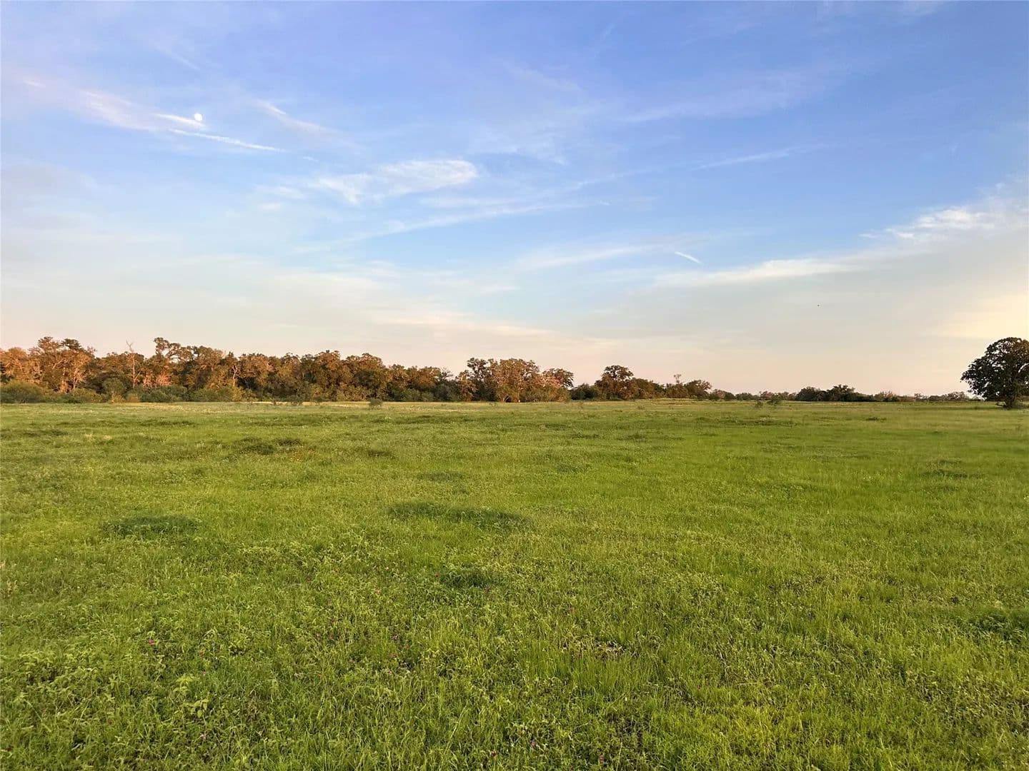 Property from 000 HWY 97 - KW - Waelder, Texas, 78959