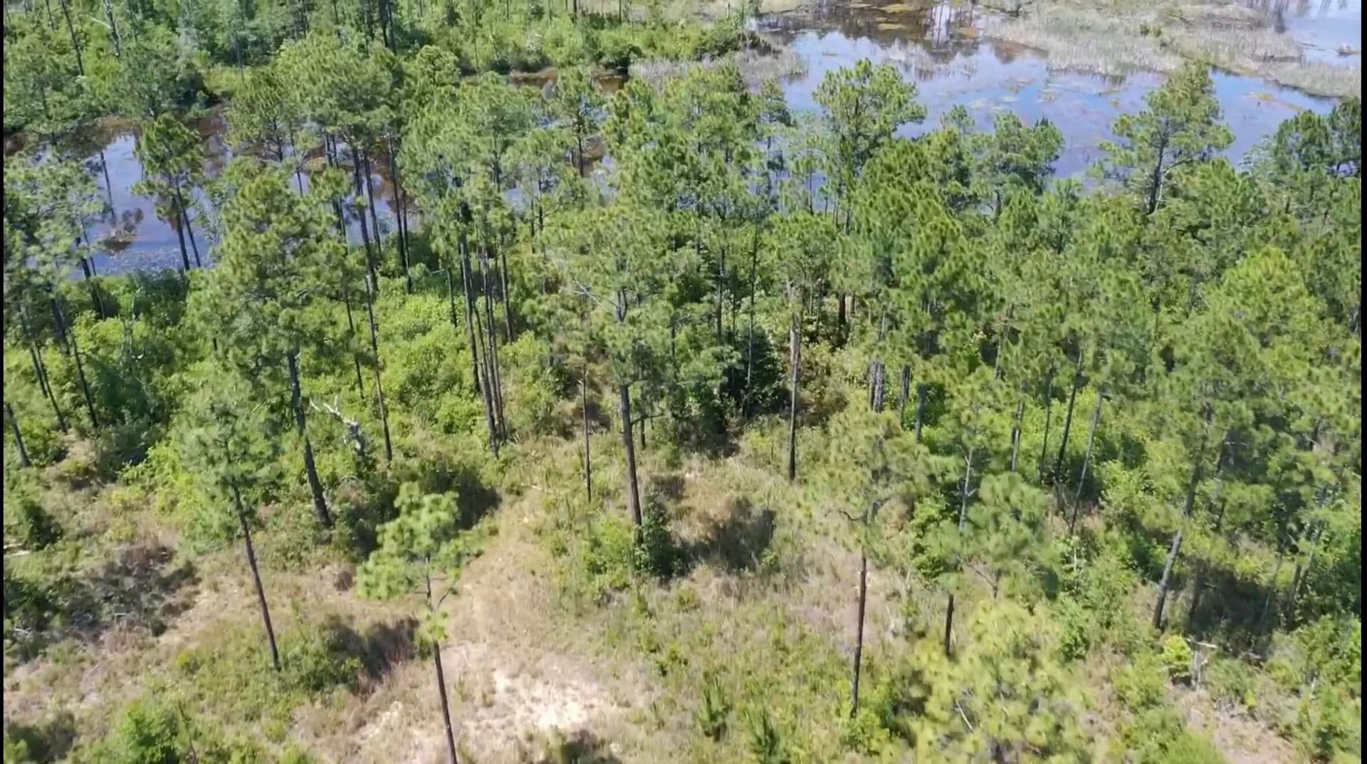 Property from Lot 57 Tidal Bay Drive - KW - Milton, Florida, 32583