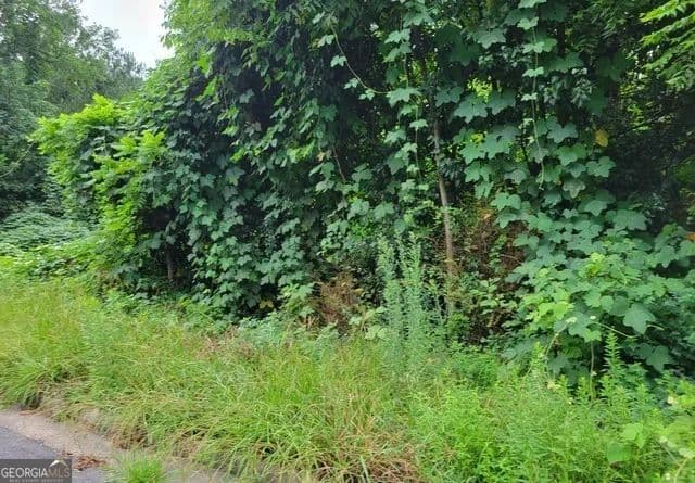 Lots & Land-Other in Jonesboro - Jonesboro, Georgia, 30238