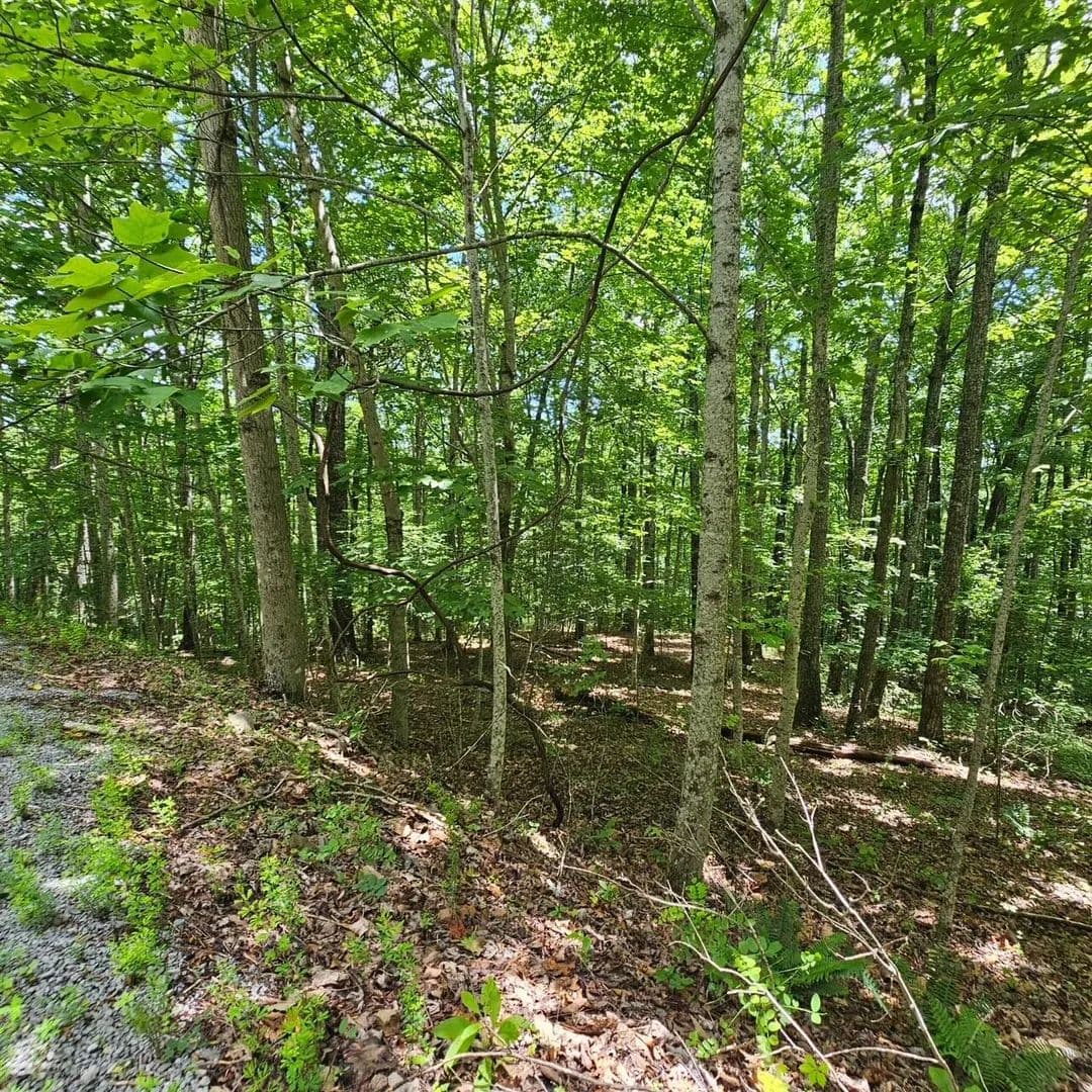 Land -Agricultural (Not Zoned) in Dunlap - Dunlap, Tennessee, 37327