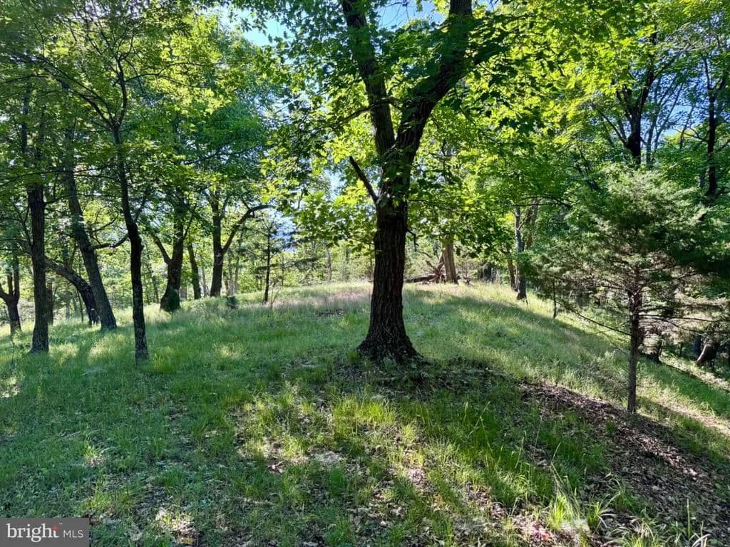 7.4 Acres of Land for Sale in Petersburg, West Virginia - Petersburg, West Virginia, 26847