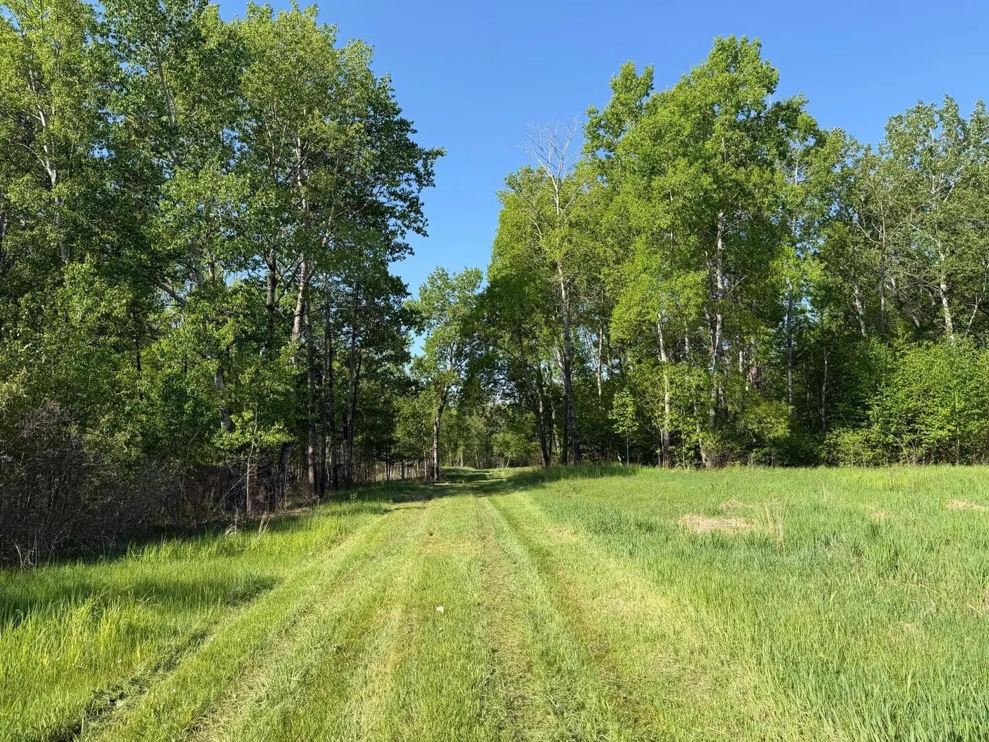 Property from 54003 Dollar Lake Road - KW - Sandstone, Minnesota, 55072
