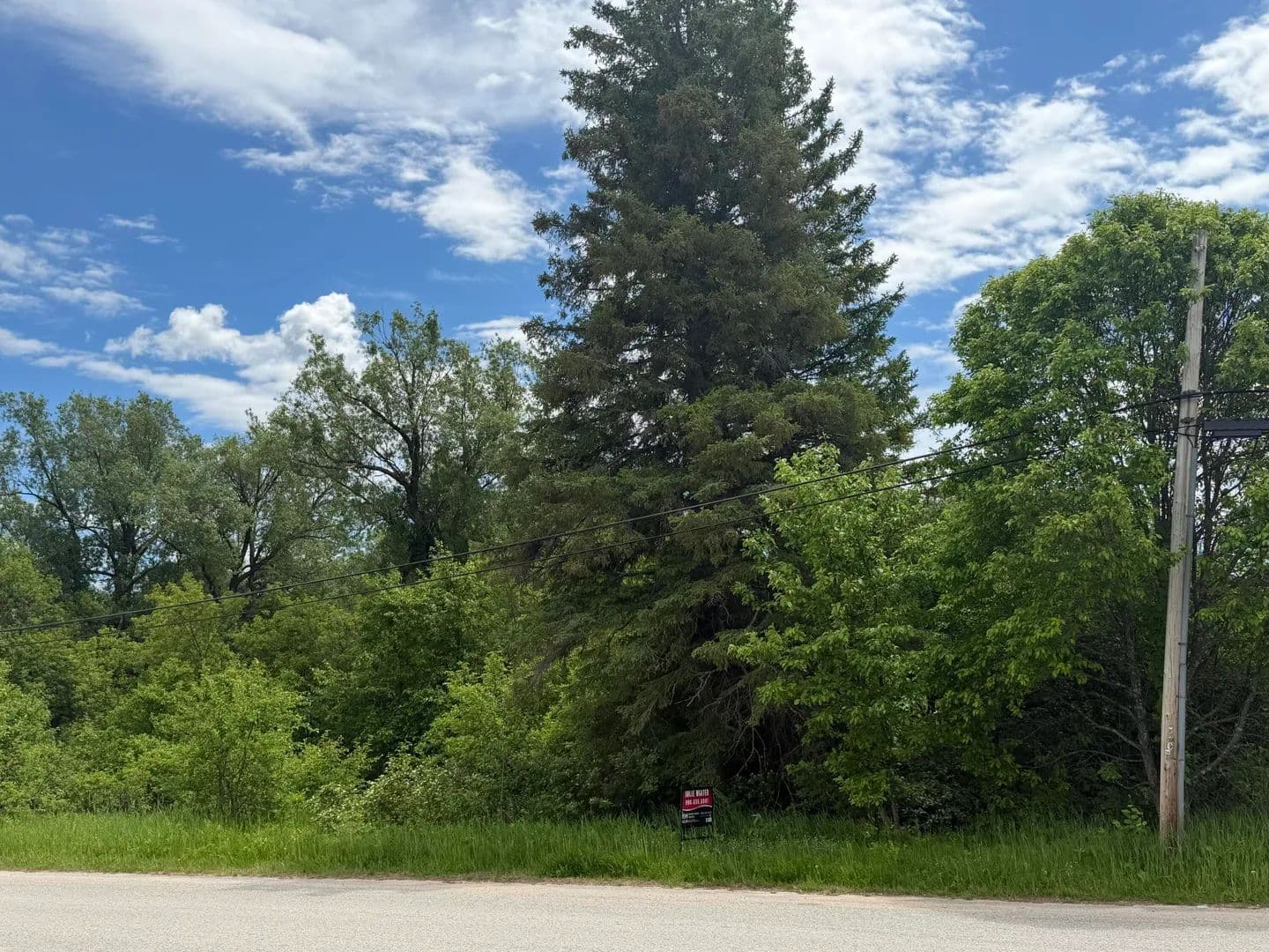 Land for Sale in Pickford, Michigan - land for sale