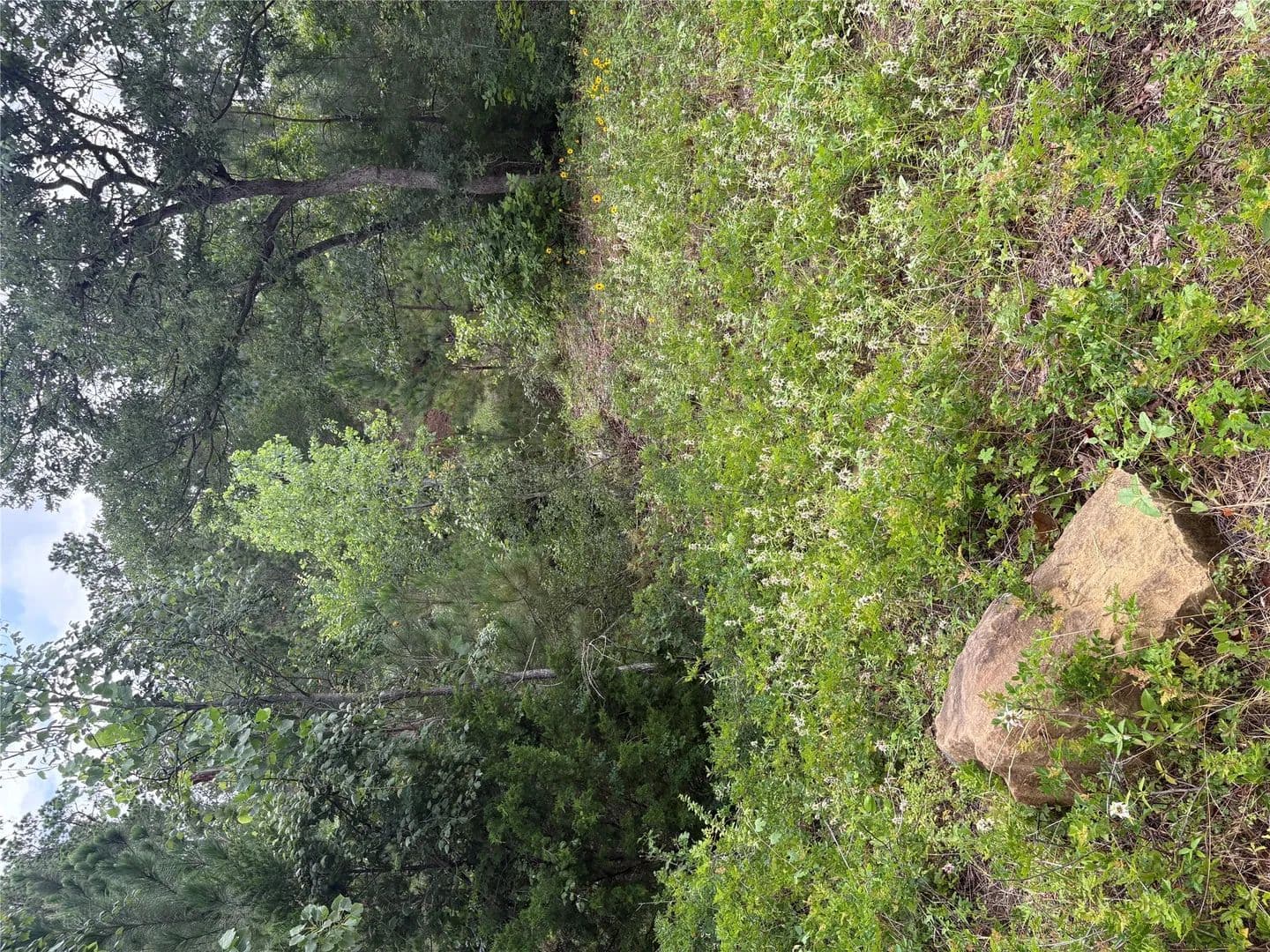 0.55 Acres of Land for Sale in Bastrop, Texas - Bastrop, Texas, 78602