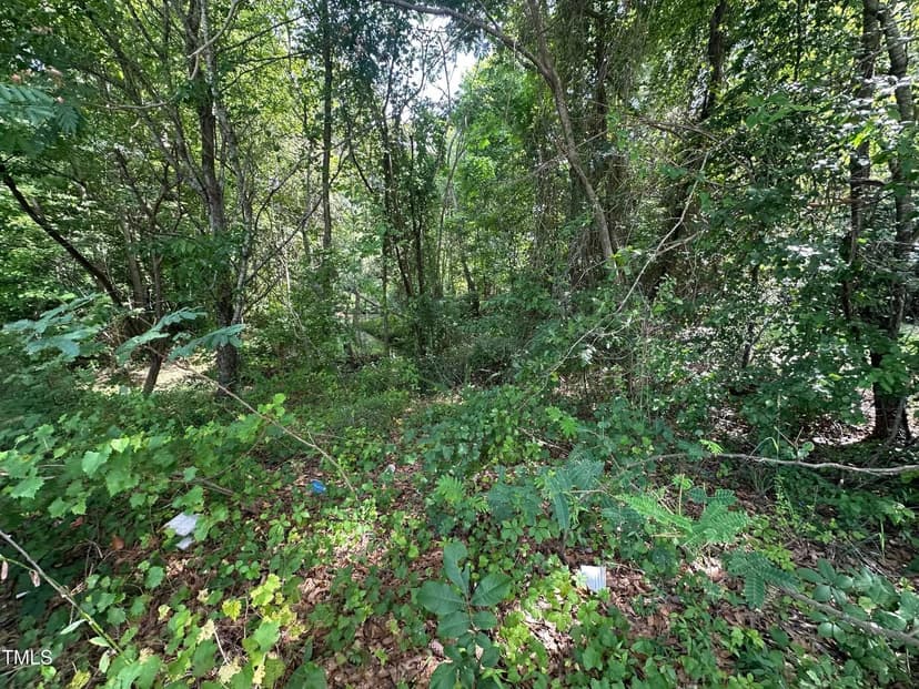 Vacant Land in Angier