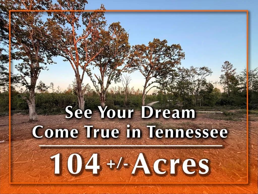 Property from 00 Haglersville Rd_Parcels 1,3,5,6 - KW - Mansfield, Tennessee, 38236