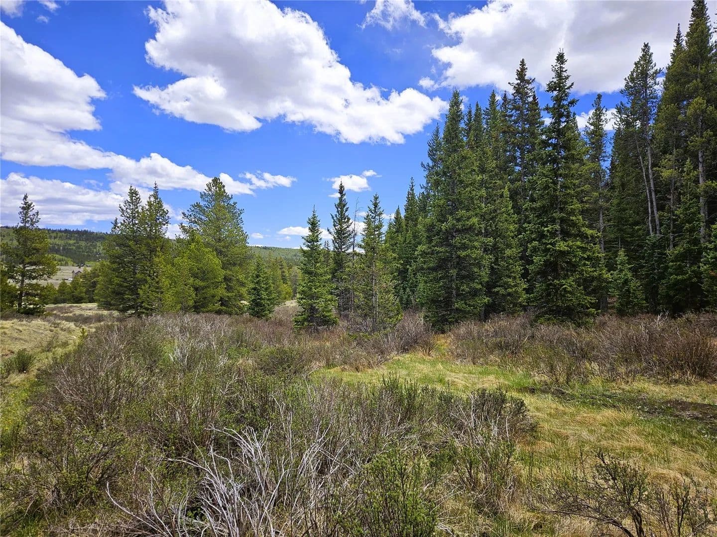 20 Acres of Land for Sale in Alma, Colorado - Alma, Colorado, 80420