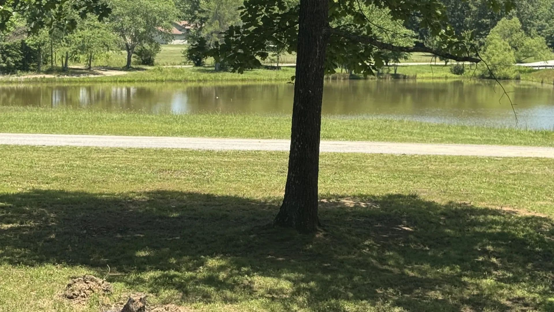 0.08 Acres of Land for Sale in Beechgrove, Tennessee - Beechgrove, Tennessee, 37018