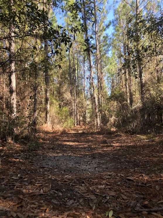 Perfect Homesite Hunting Combo!!!