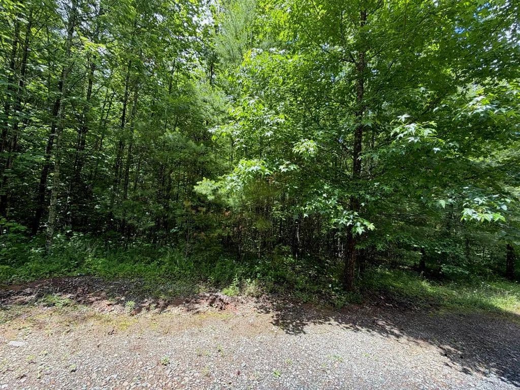 Property from 2.75AC Quail Ridge Road - KW - Epworth, Georgia, 30541