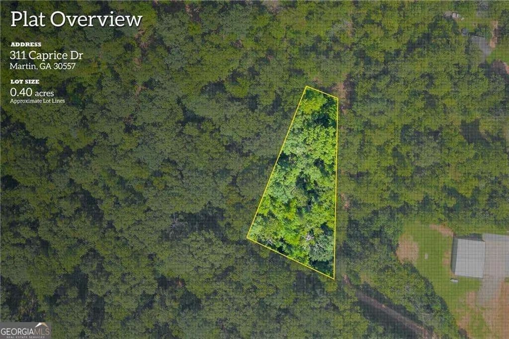 0.12 Acres of Land for Sale in Martin, Georgia - Martin, Georgia, 30557