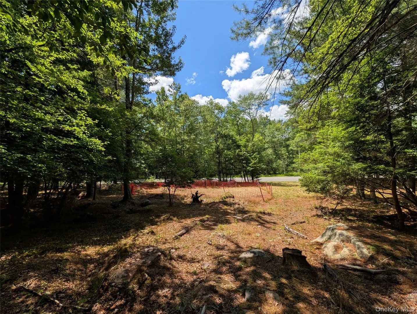 Land for Sale in Bethel, NY - Bethel, New York, 12720