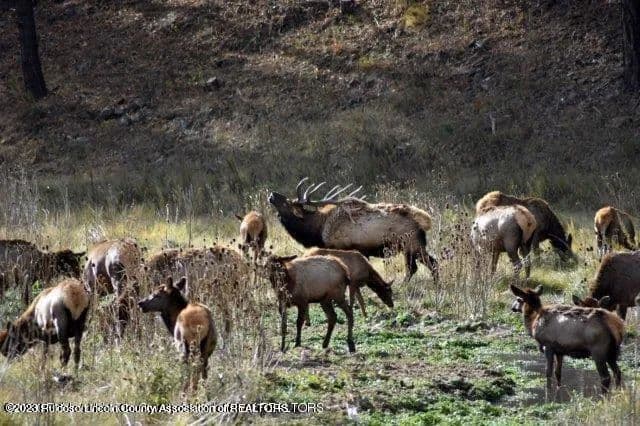 Land -Single Family Acreage in Ruidoso