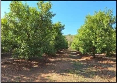Land for Sale in Nelspruit, Mpumalanga - land for sale