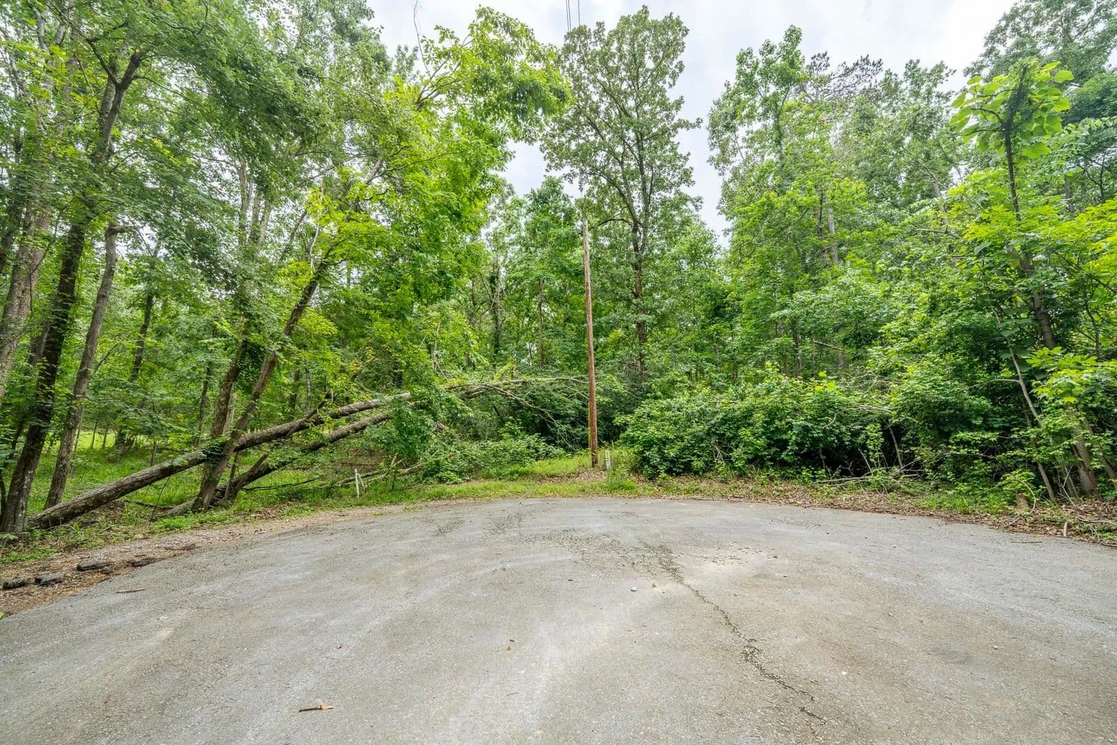 Property from LOT 528 MASTERS CT - KW - Counce, Tennessee, 38326