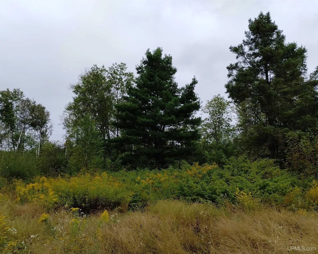 Vacant Land in Rock - land for sale