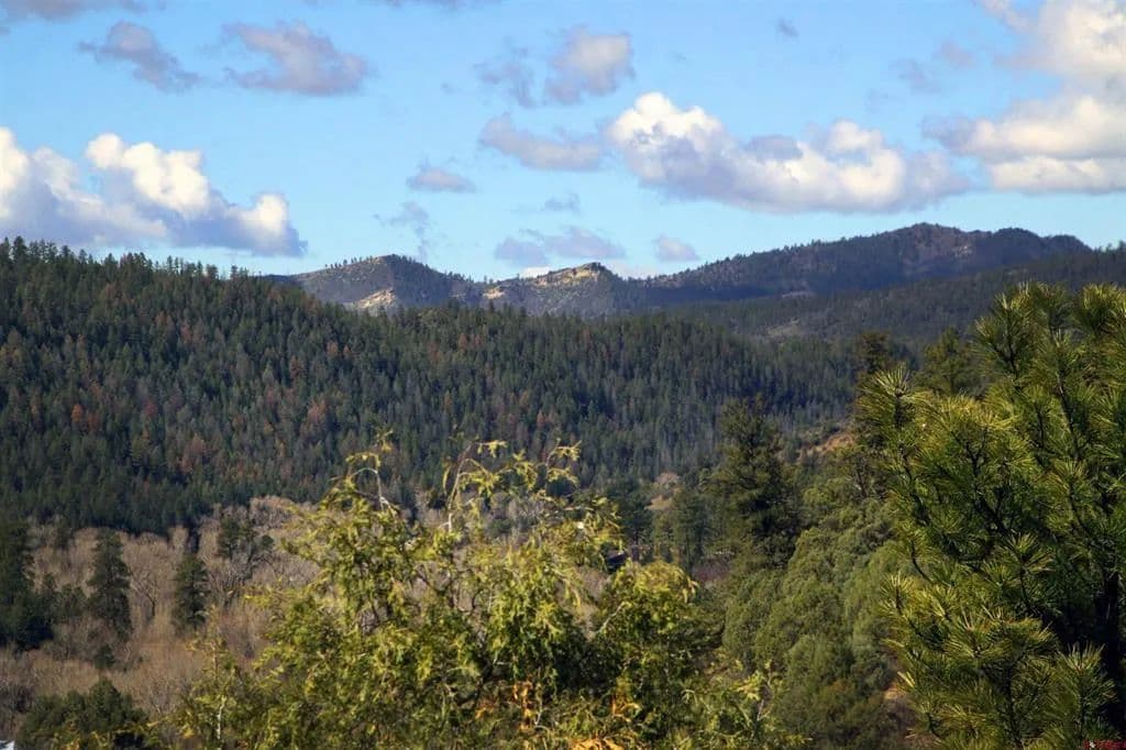 Property from 2519 County RD 335 - KW - Pagosa Springs, Colorado, 81147