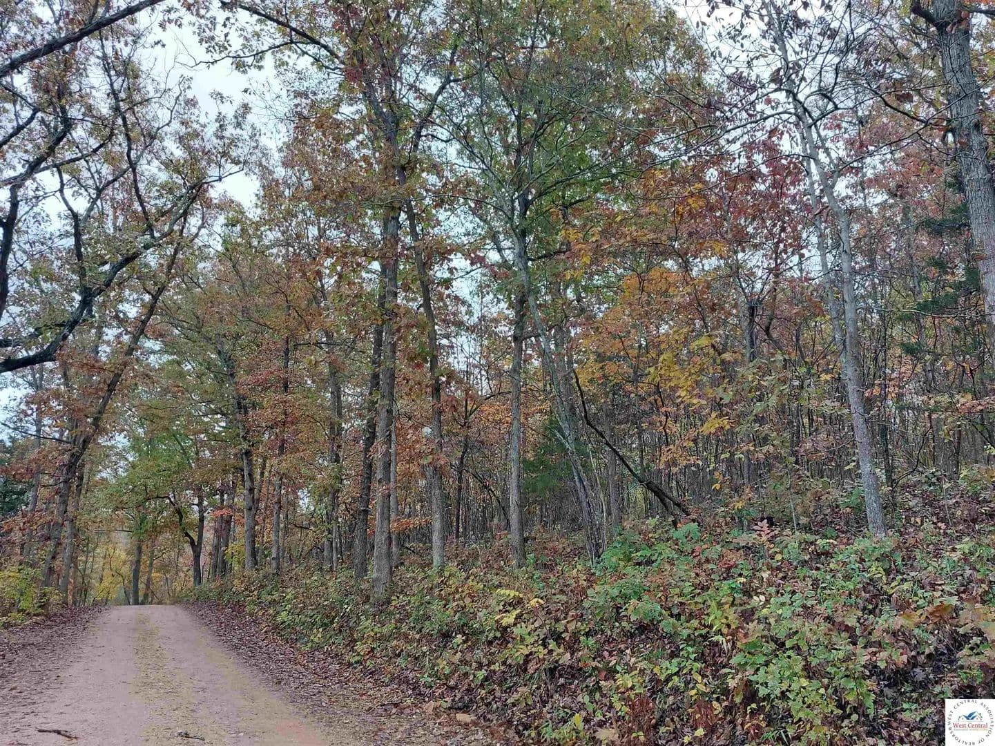 6 Acres of Land for Sale in Stover, MO - Stover, Missouri, 65078