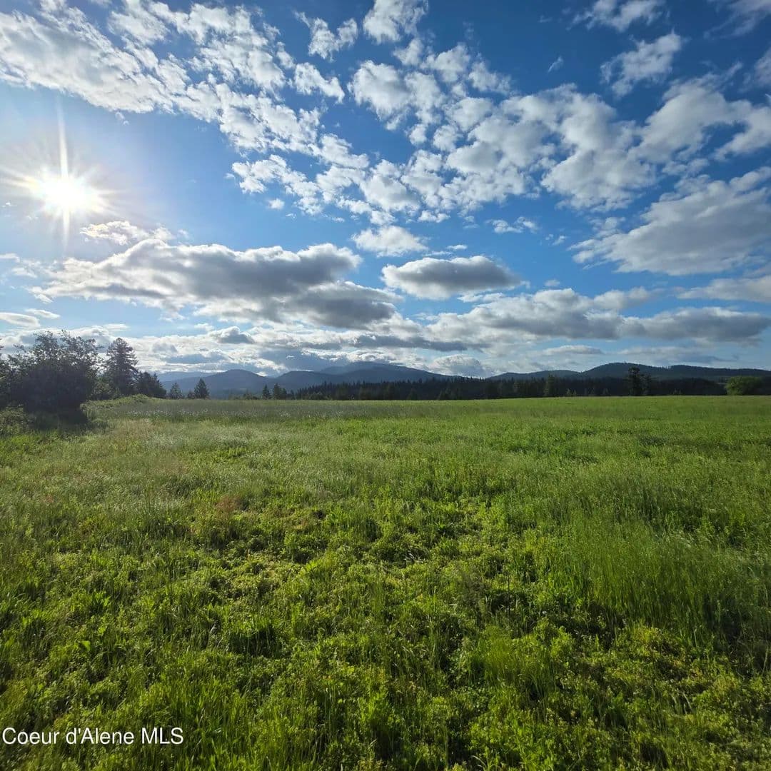20 Acres of Land for Sale in Harrison, Idaho - Harrison, Idaho, 83833