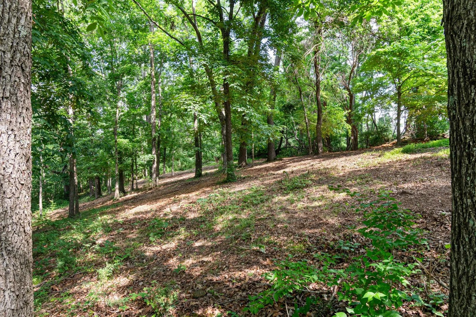 Property from 661 Hunters Trl - KW - Nashville, Tennessee, 37209