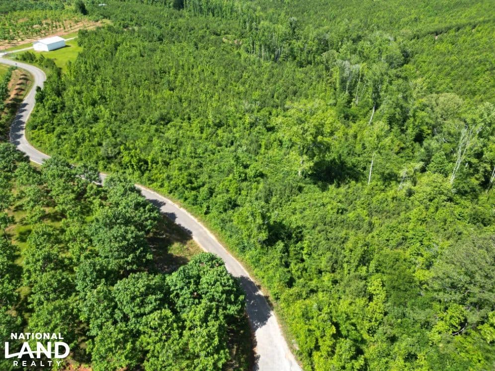 Valley Grande Berry Road North Tract - Valley Grande, Alabama, 36701