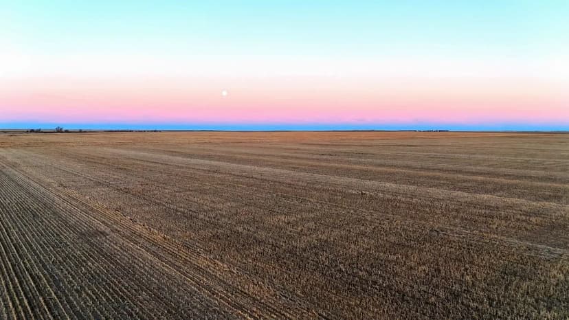 Large Offering of Prime Cropland with Recreational Opportunities