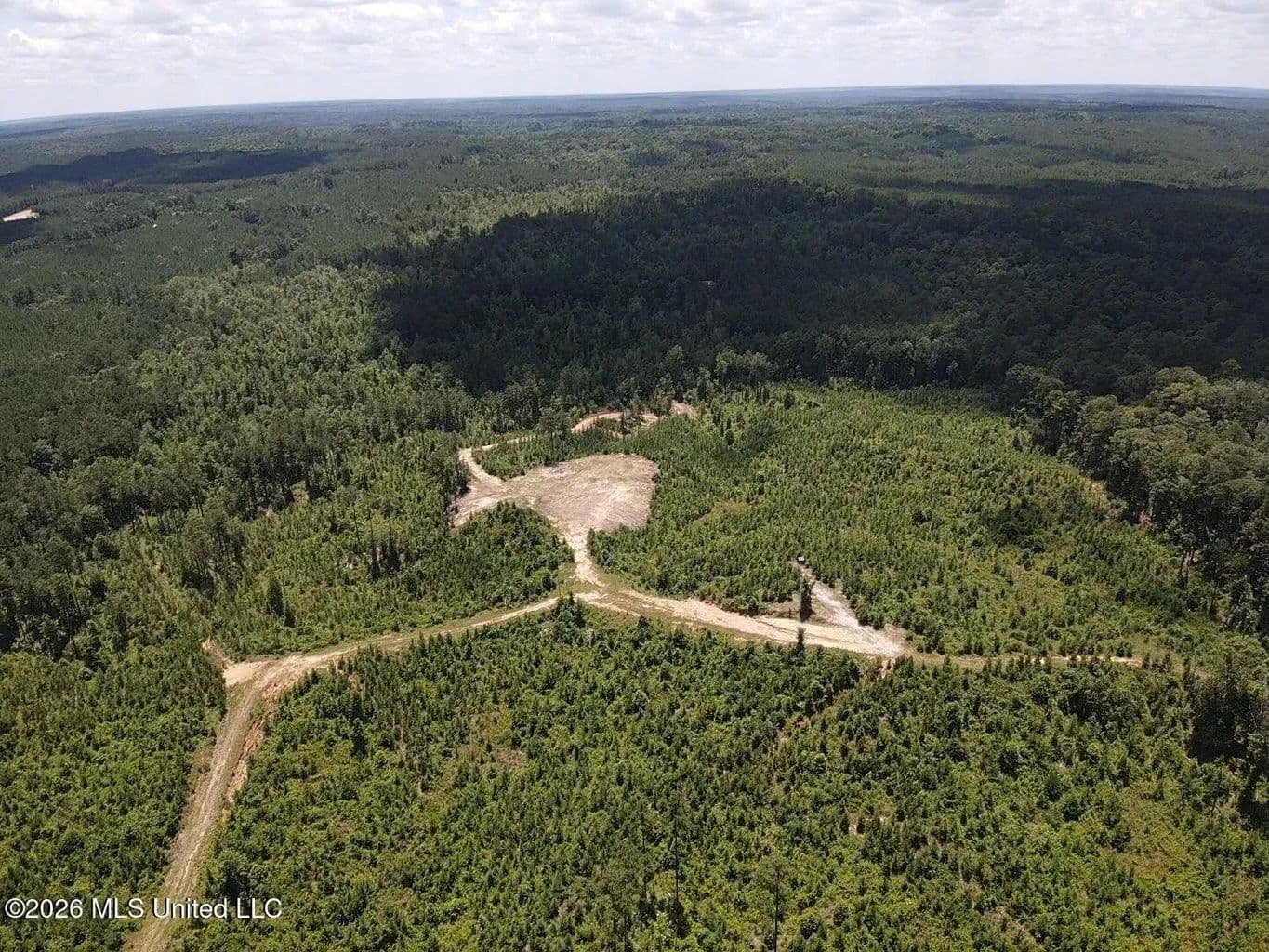 Wilkinson County MS Hunting Land for Sale - Crosby, Mississippi, 39633