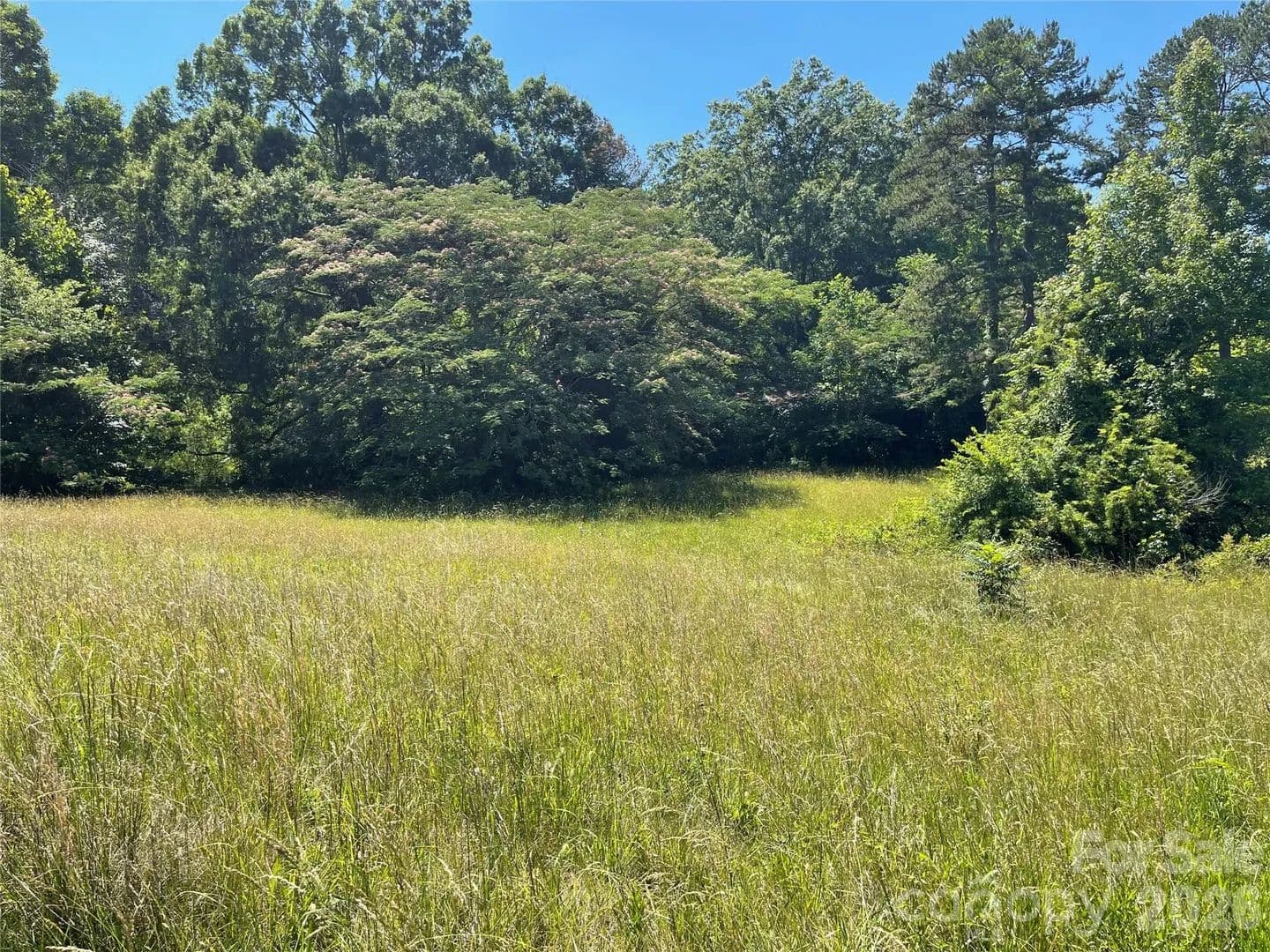 0.25 Acres of Land for Sale in Lexington, North Carolina - Lexington, North Carolina, 27292