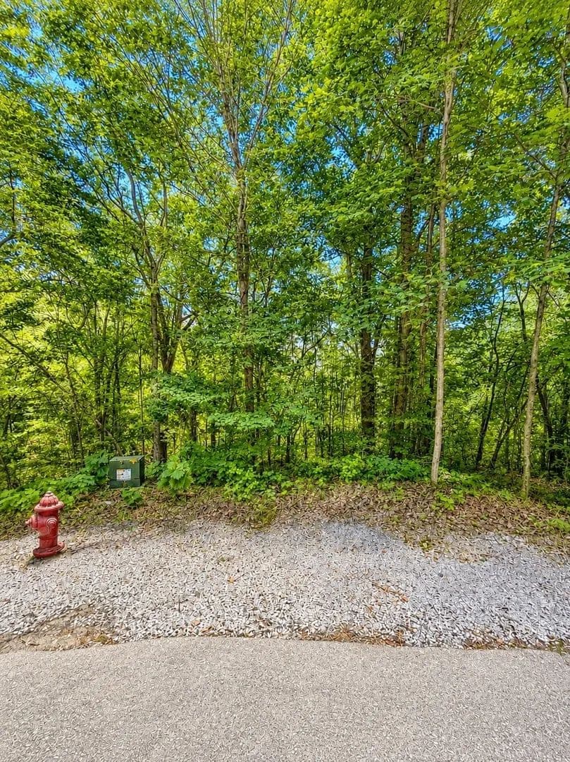 Lots & Land-Other in Smithville - Smithville, Tennessee, 37166