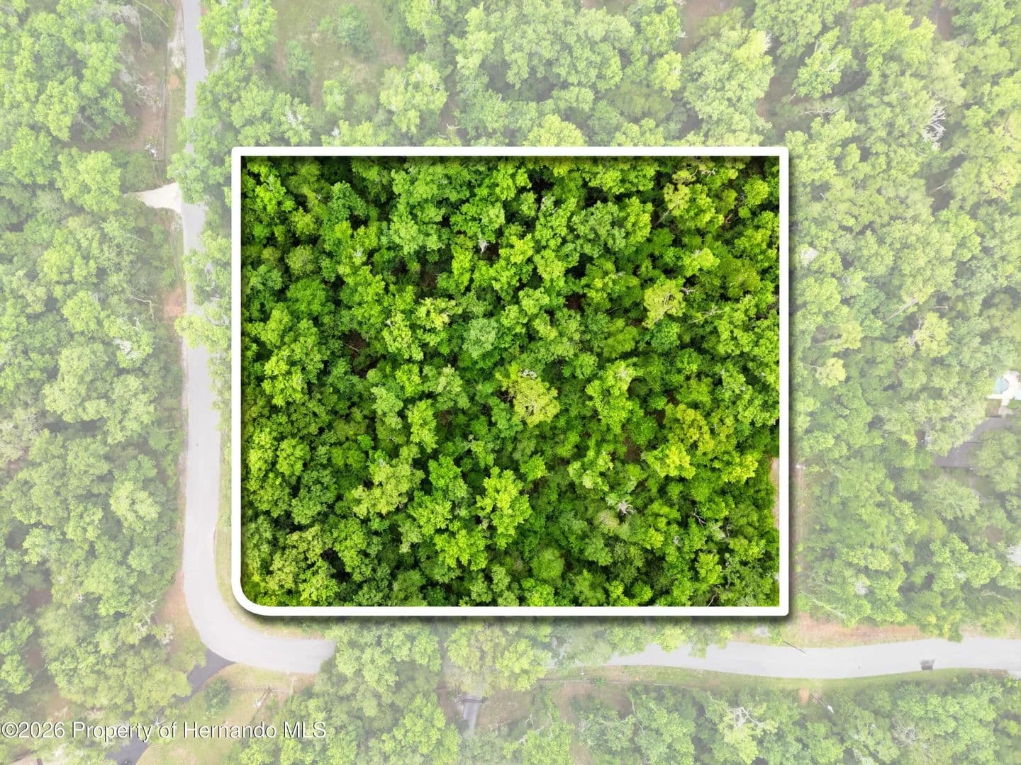 2.5 Acres of Land for Sale in Brooksville, Florida - Brooksville, Florida, 34601