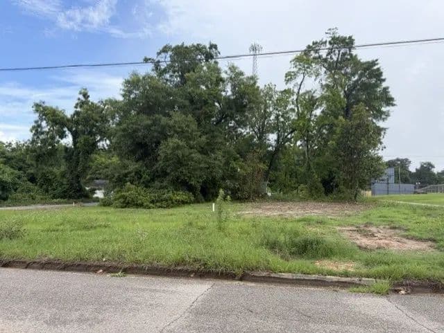 Lot in Crenshaw County, AL - Luverne, Alabama, 36049
