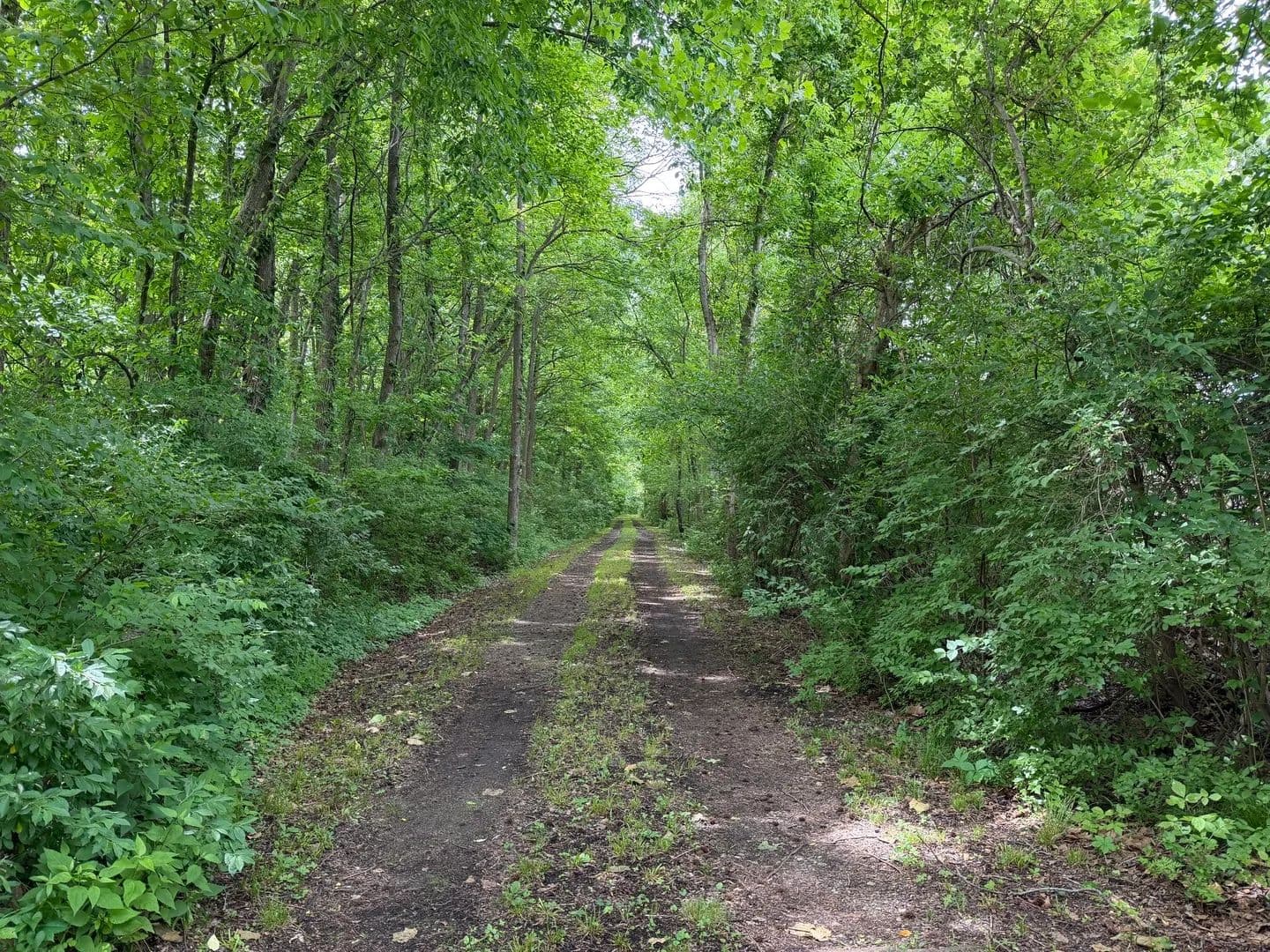 Property from 00 Shoemaker Drive - KW - Murphysboro, Illinois, 62966