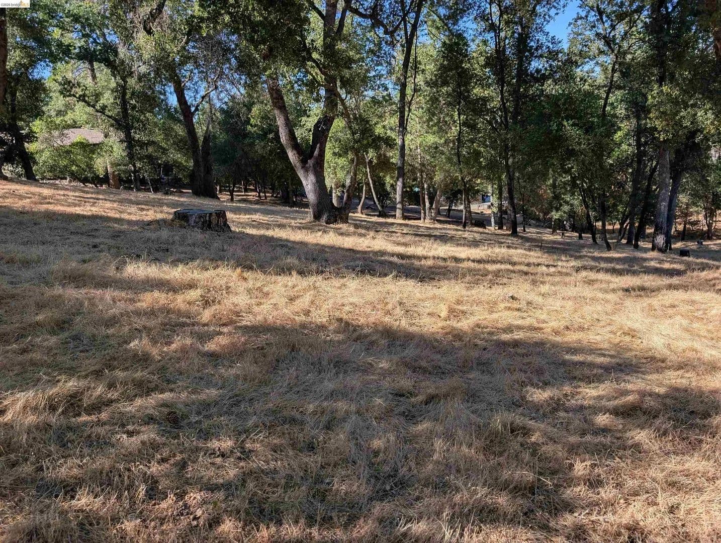 Property from 19055 Crocker Station - KW - Groveland, California, 95321