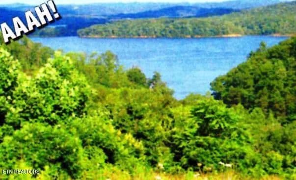 Lots & Land-Other in Rockwood - land for sale