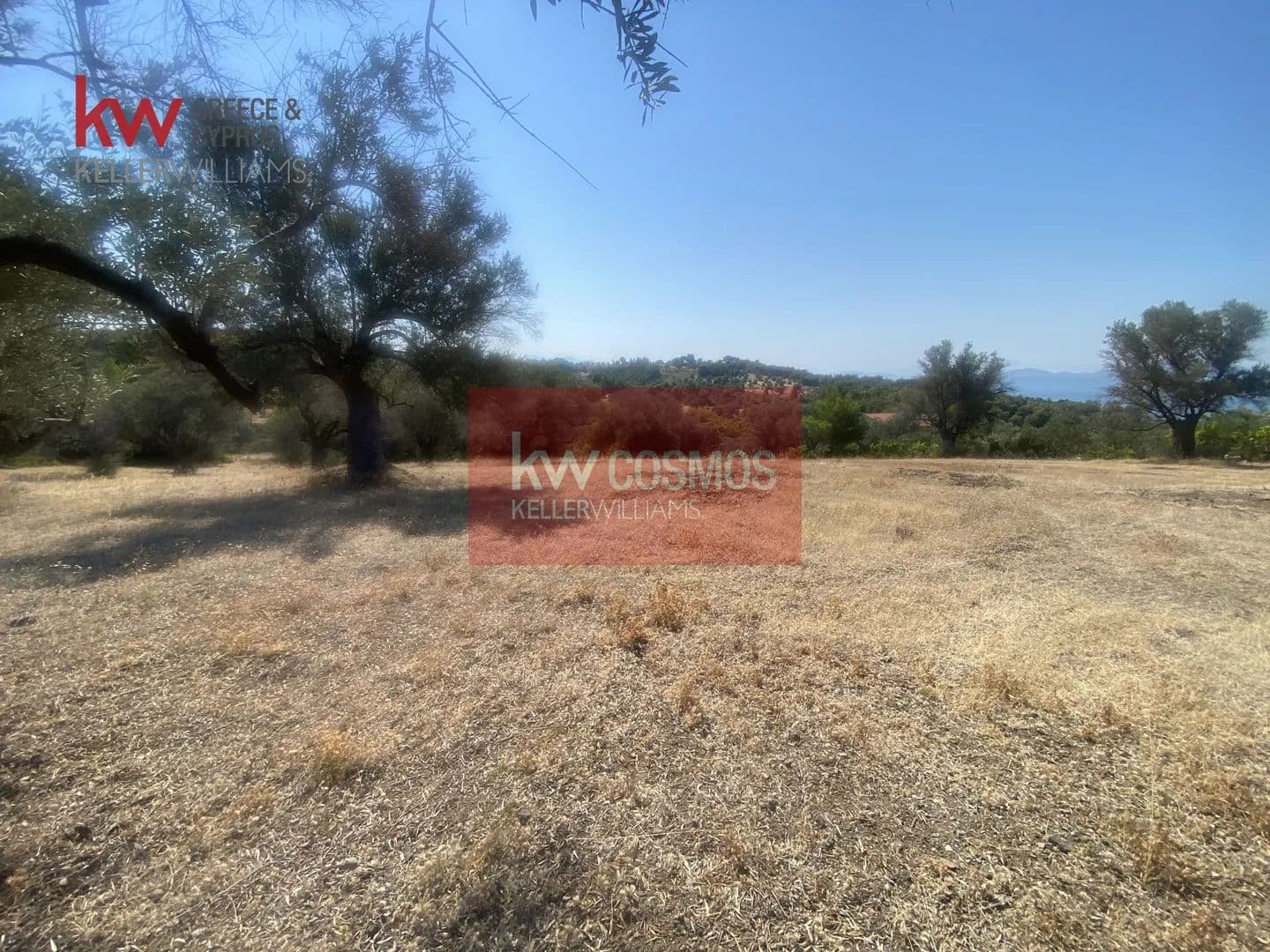 Land for Sale in Messapia, Evia - land for sale