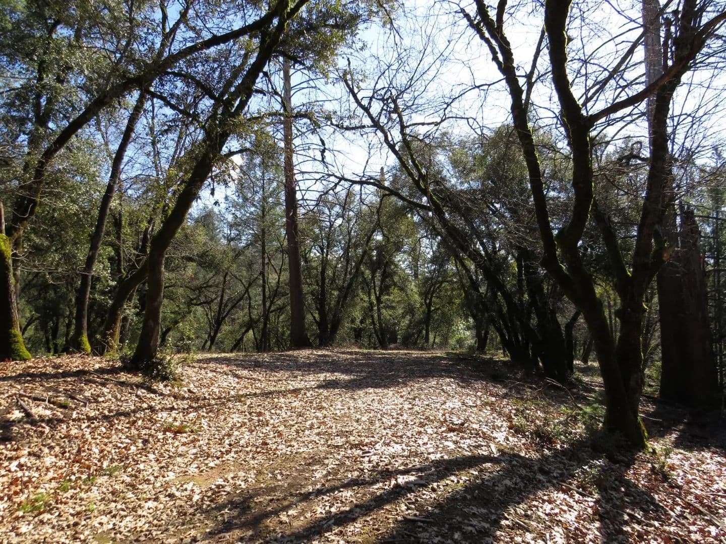 Property from 0 Forest Lake Place - KW - Colfax, California, 95713