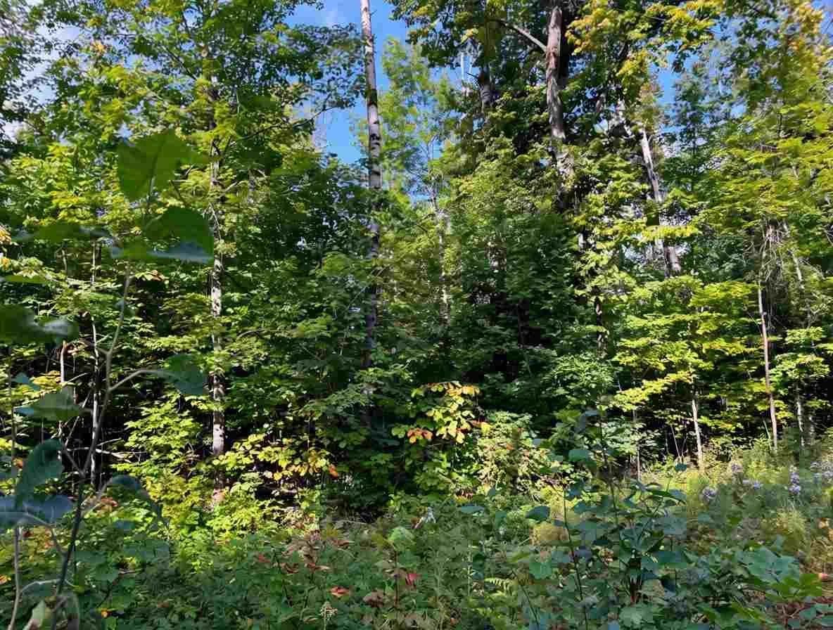 Lots & Land-Other in Brutus - land for sale