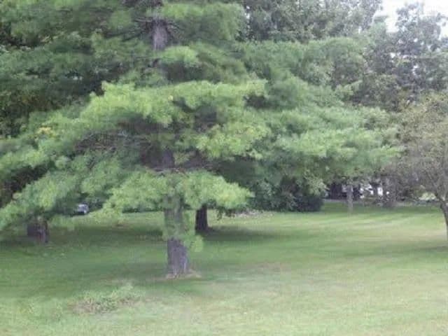 Property from 11810 Love Rd - KW - Roscoe, Illinois, 61073