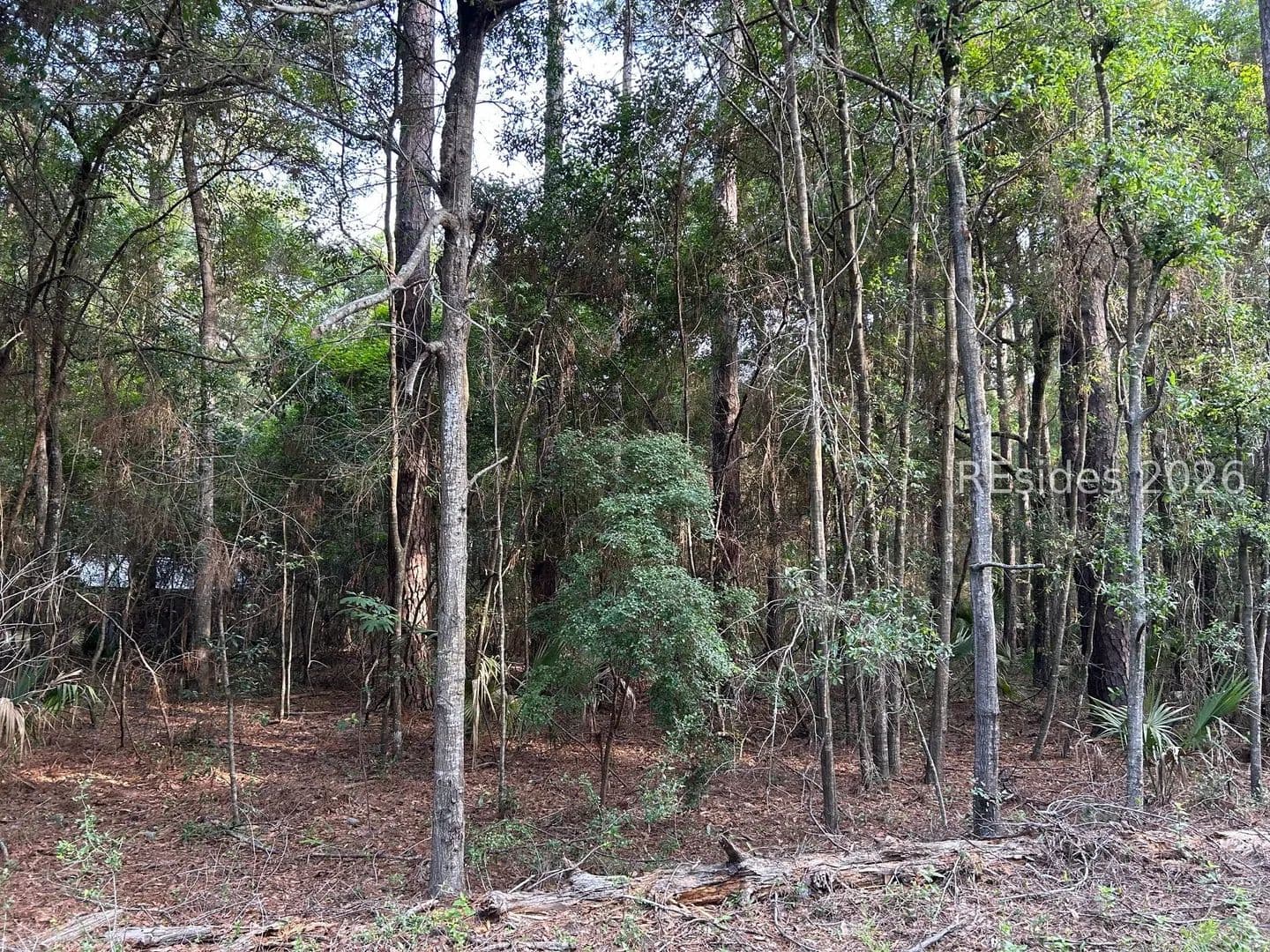 Property from 214 Benjies Point Road - KW - Daufuskie Island, South Carolina, 29915