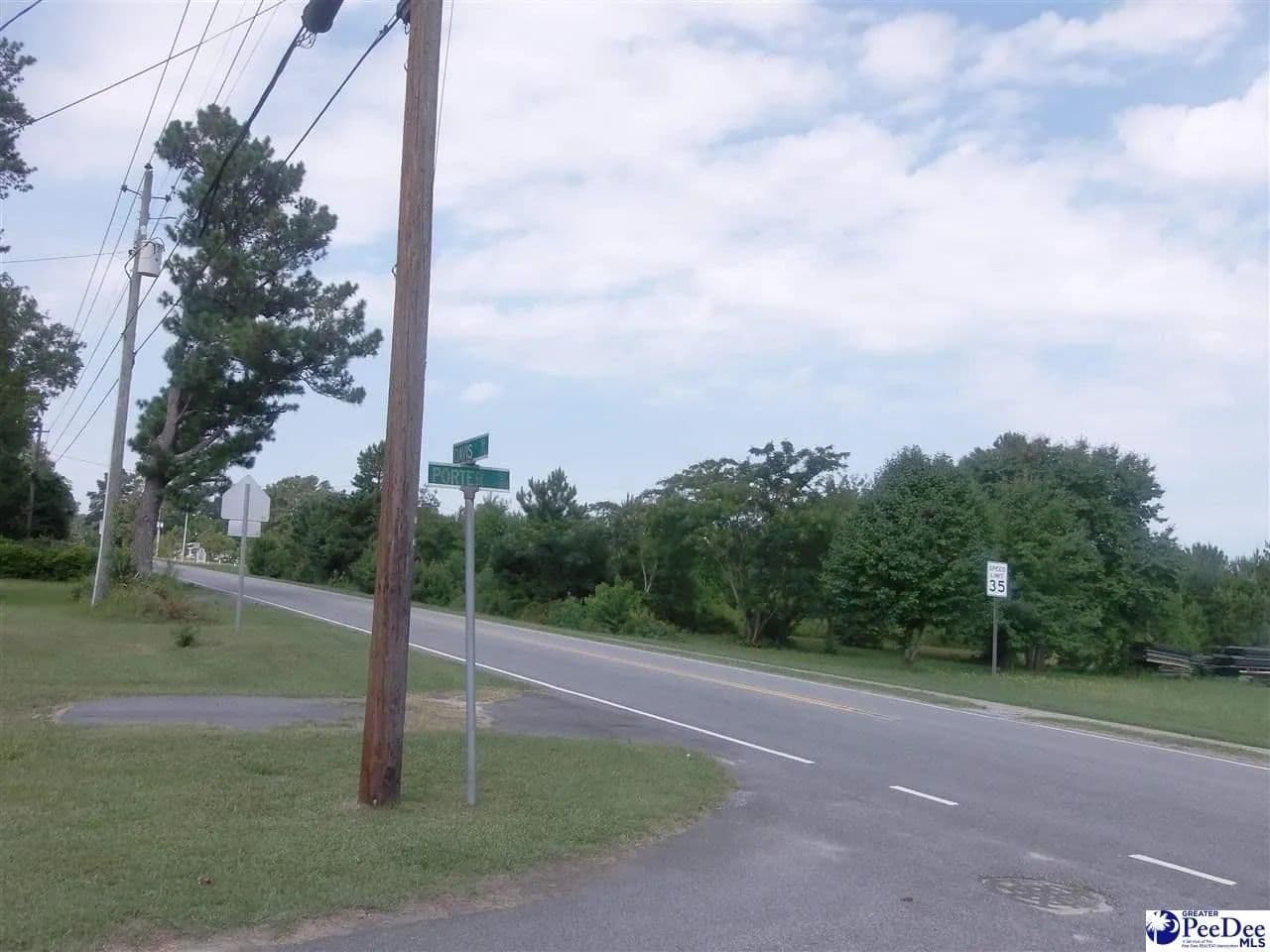Lots & Land-Other in Lamar - Lamar, South Carolina, 29069