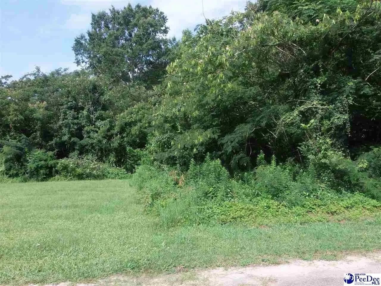 Lots & Land-Other in Lamar - Lamar, South Carolina, 29069