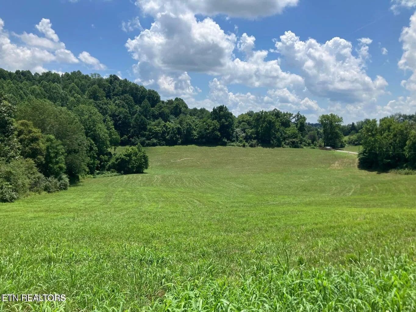 Property from 1502 Harmon Rd - KW - New Tazewell, Tennessee, 37825