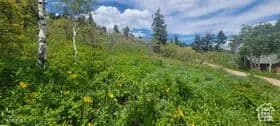 Property from 1920 W Elk Road - KW - Coalville, Utah, 84017