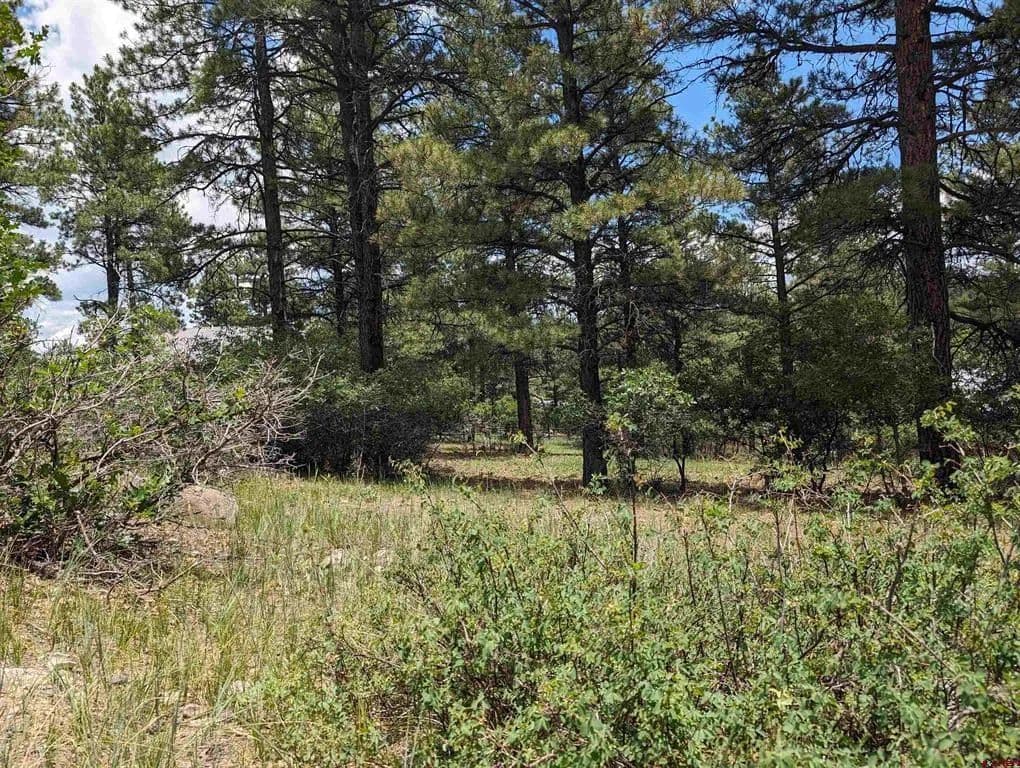 Property from 90 Balfour Court - KW - Pagosa Springs, Colorado, 81147