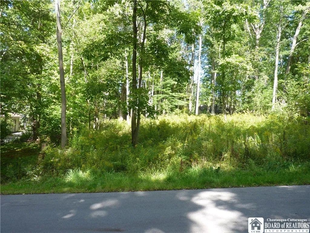 Lots & Land-Other in Bemus Point - Bemus Point, New York, 14712