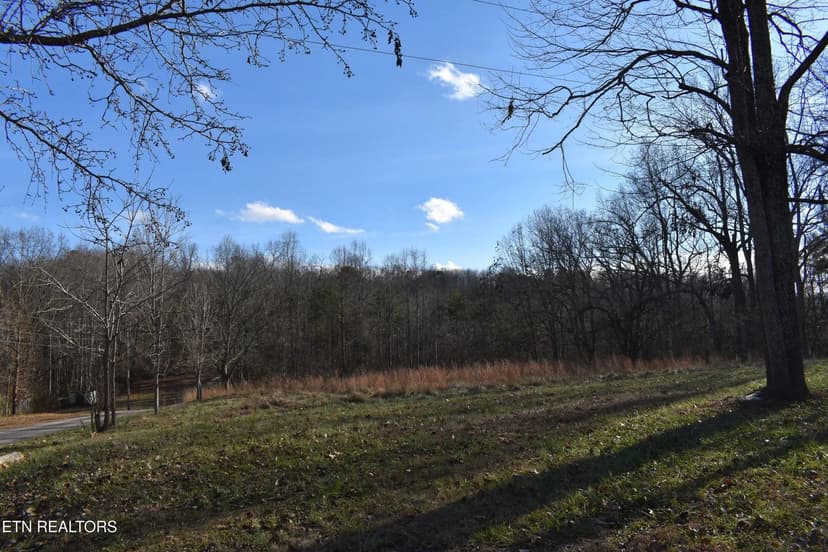 Lots & Land-Other in Speedwell